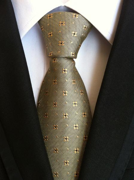 Polka Styled Classic Tie